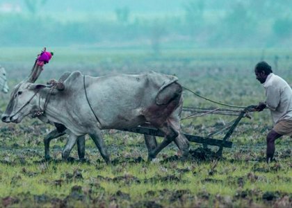 Org-farming Principles & practices (English) 