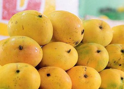 DGFT notification organic export 