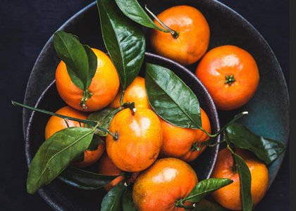 Inspection of individual farm 
