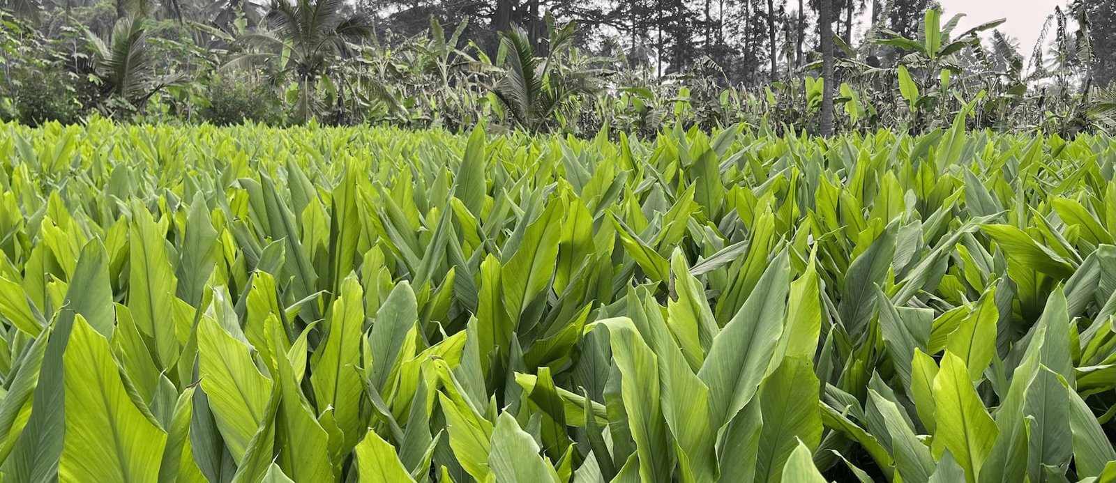 A healthy relationship is built on unwavering trust.