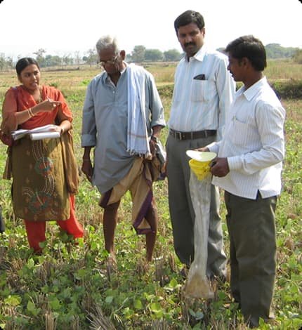 Organic Certification of Grower Groups 