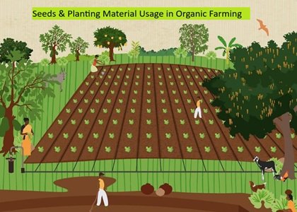 Seeds & Planting Material Usage in Organic Farming (NPOP vs EU vs NOP) 